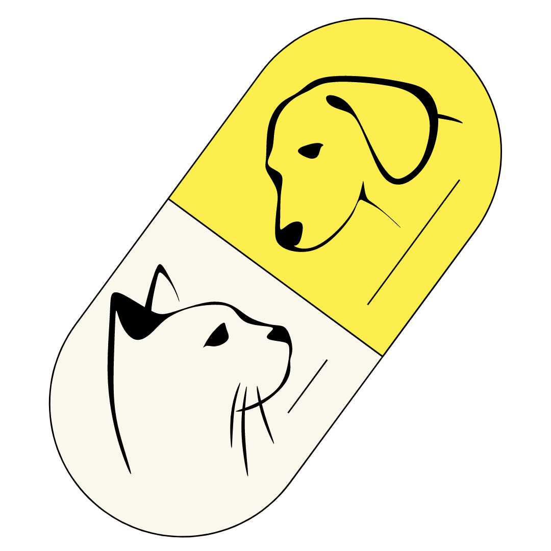 dog:cat pill